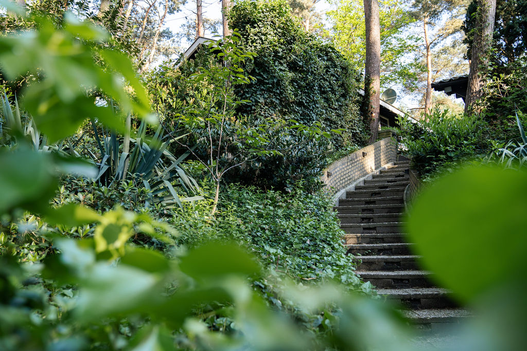 weekendje weg in Limburg, geniet van de mooie natuur van Limburg